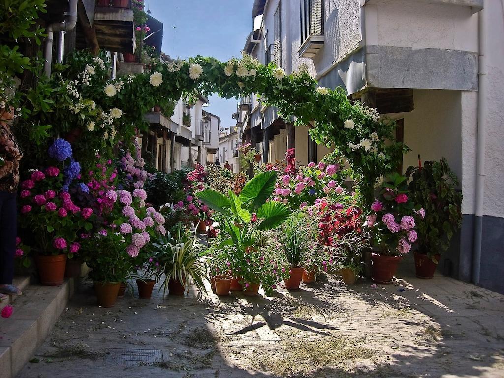 Apartamentos Turisticos Mirayuste Guadalupe  Dış mekan fotoğraf